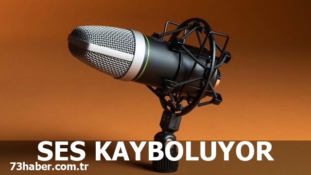 Mikrofon Sesi Neden Aniden Kesiliyor?