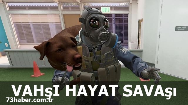 CS2'nin Şok Eden Yeni Haritası: İnsanlar Değil, Hayvan Rehine!