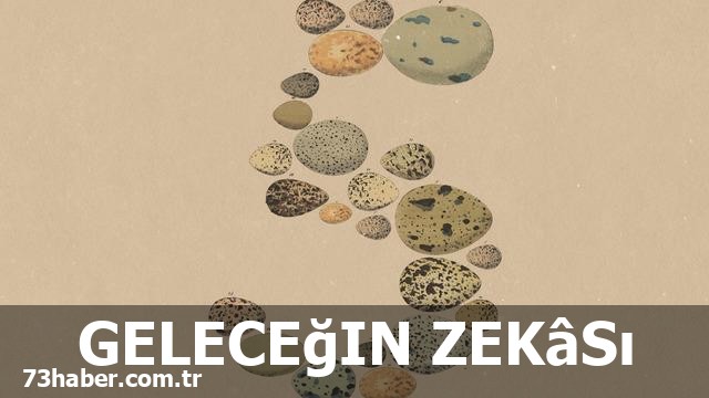 Yapay zekâ devrimi: Anthropic'in Opus 5'i geleceği şekillendirecek!