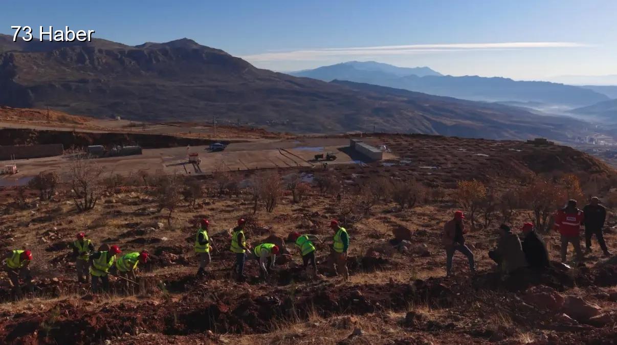 Şırnak'ta Gabar&amp;apos;da fidan dikim seferberliği