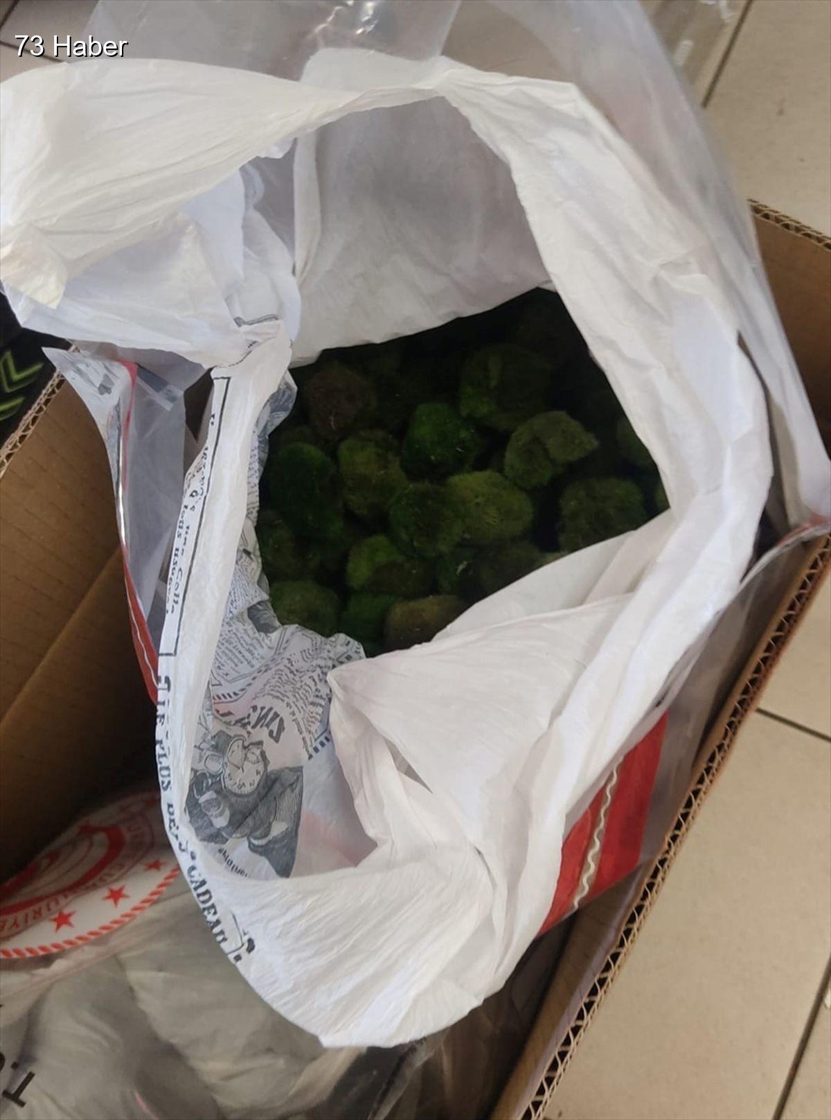 Kapıkule&amp;apos;de yolcu otobüsünde 2 bin 125 canlı yeşil alg ele...