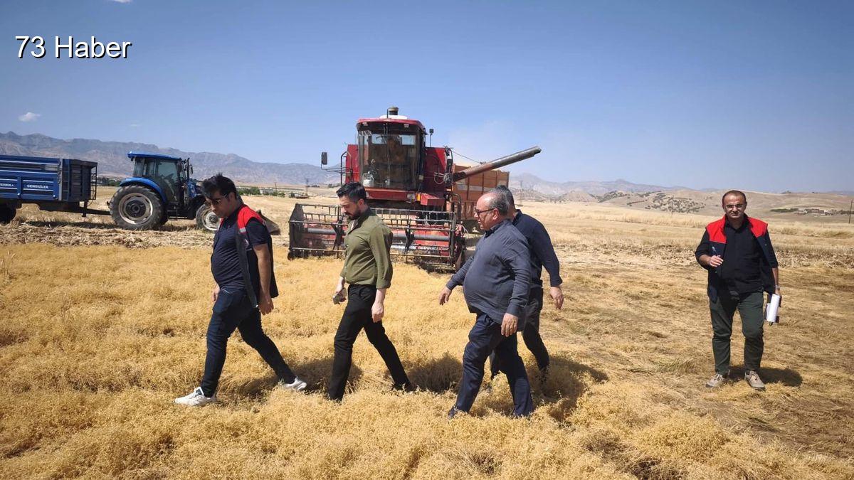 Şırnak'ın Silopi ilçesinde Silopi&amp;apos;de TAKE projesiyle atıl araziler üretime kazandırıldı