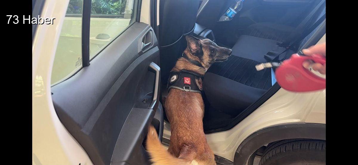 Şırnak'ta Narkotik köpeği Cessi&amp;apos;den başarılı operasyon