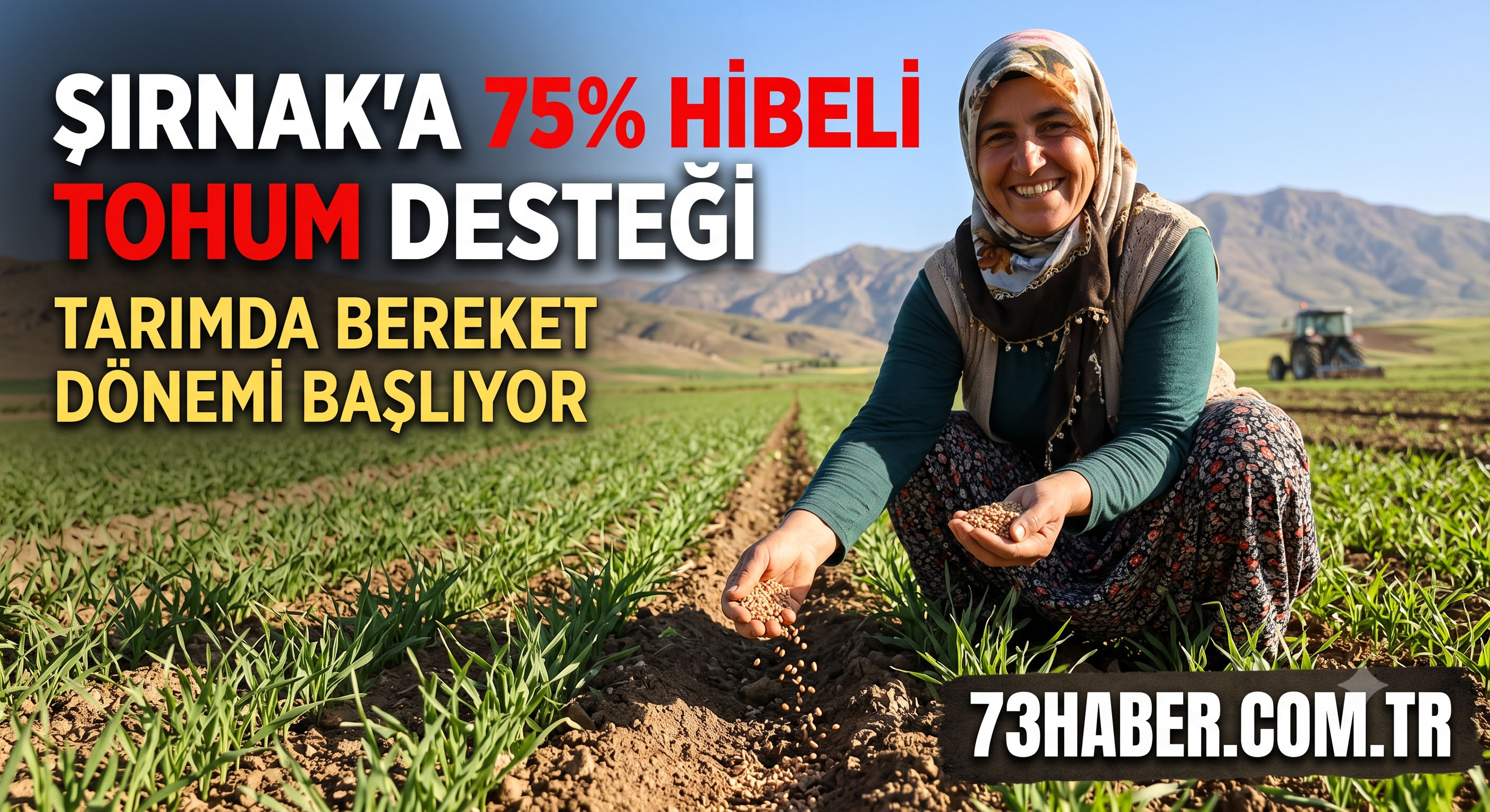Şırnak'a 75% Hibeli Tohum Desteği