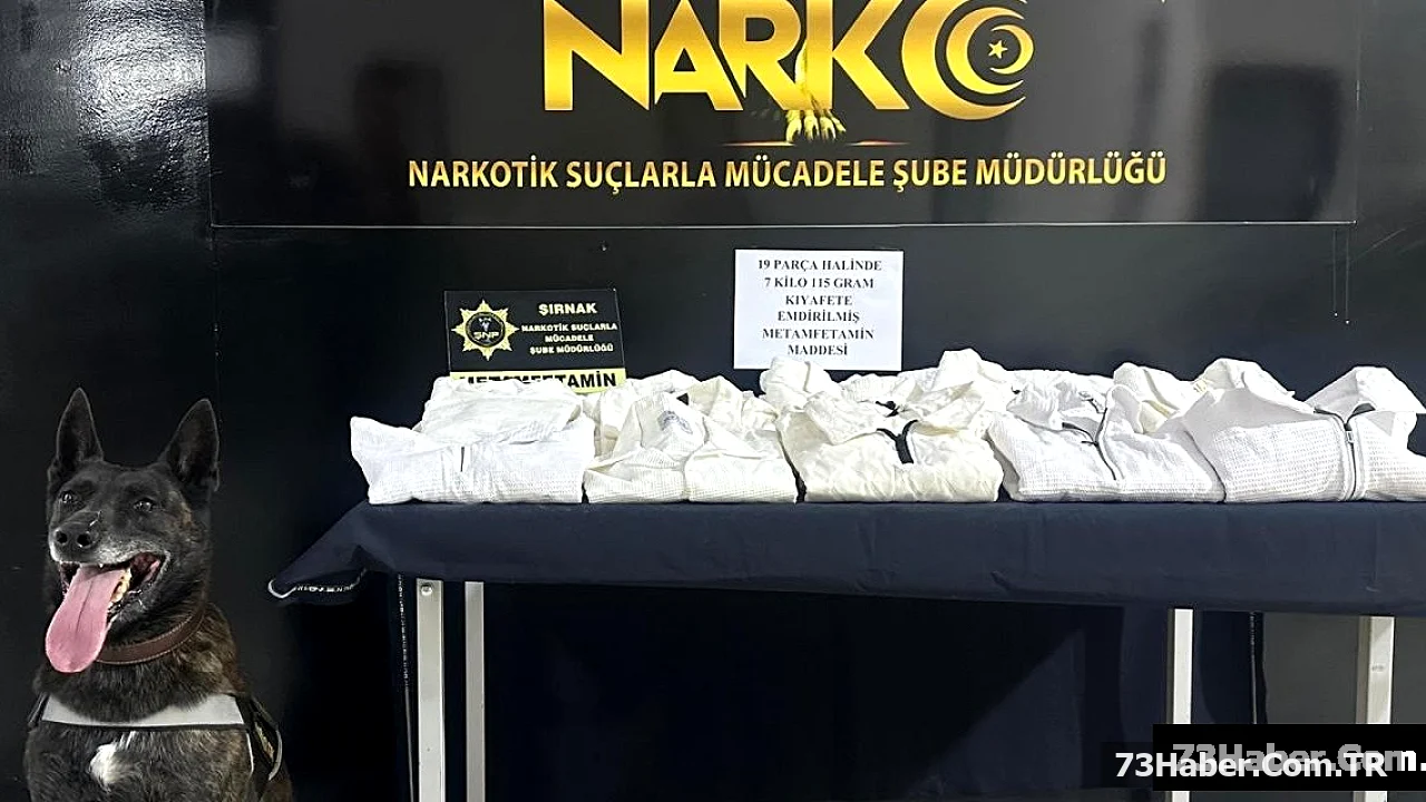Şırnak'ta Kaçakçılık Operasyonu: 1 Tutuklama
