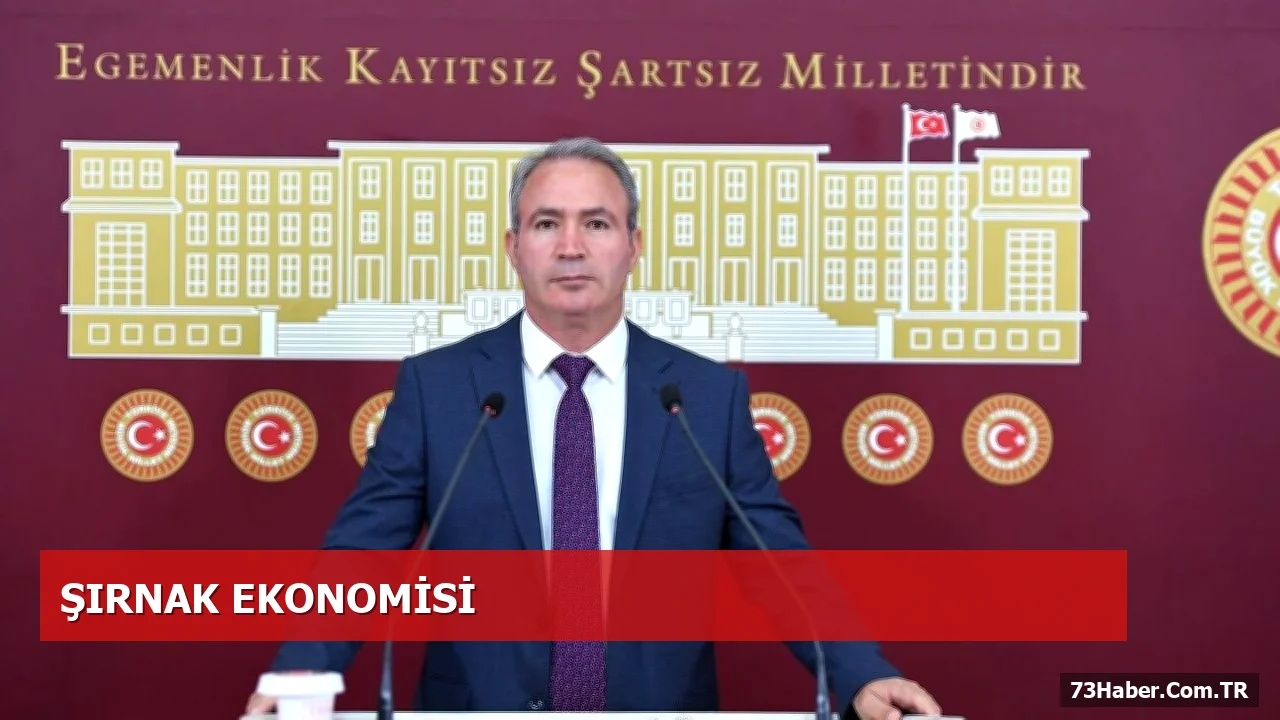 Şırnak'ın Ekonomik Sorunları Çözülmalı