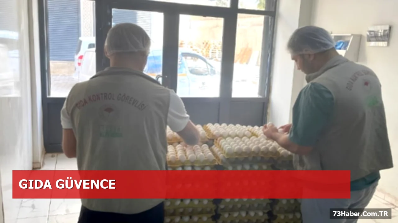 Cizre’de Damgasız Yumurtalar İmha Edildi, Gıda Güvenliği Sağlandı