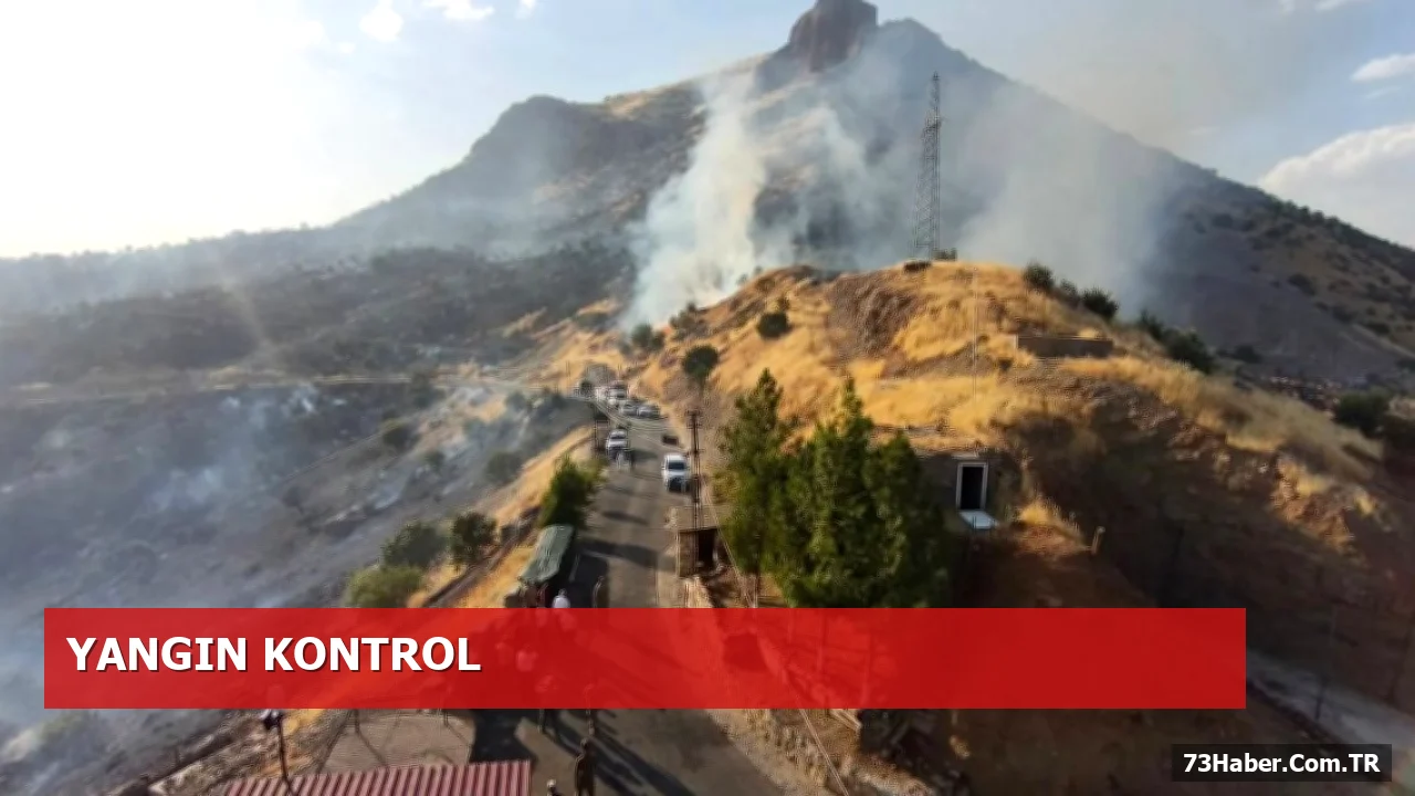Silopi Damlaca Köyü'nde Rüzgârla Yayılmış Yangın Kontrol Altına Alındı