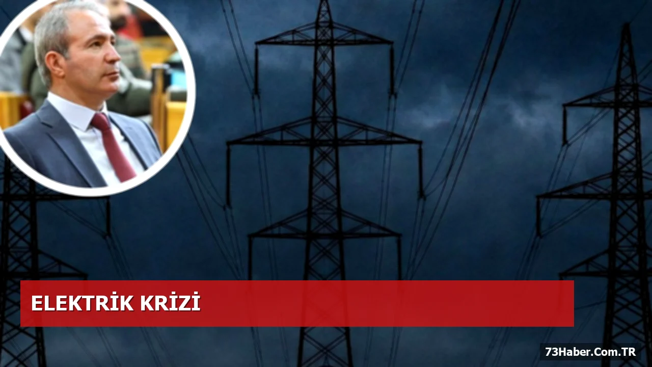Şırnak’ta Elektrik Kesintilerine DEM Parti Milletvekili İrmez’den Sert Tepki