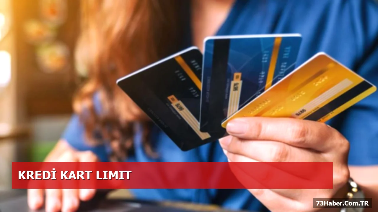 Kredi kartı limitleri gelire bağlanıyor: 2027-2029 orta vadeli programı