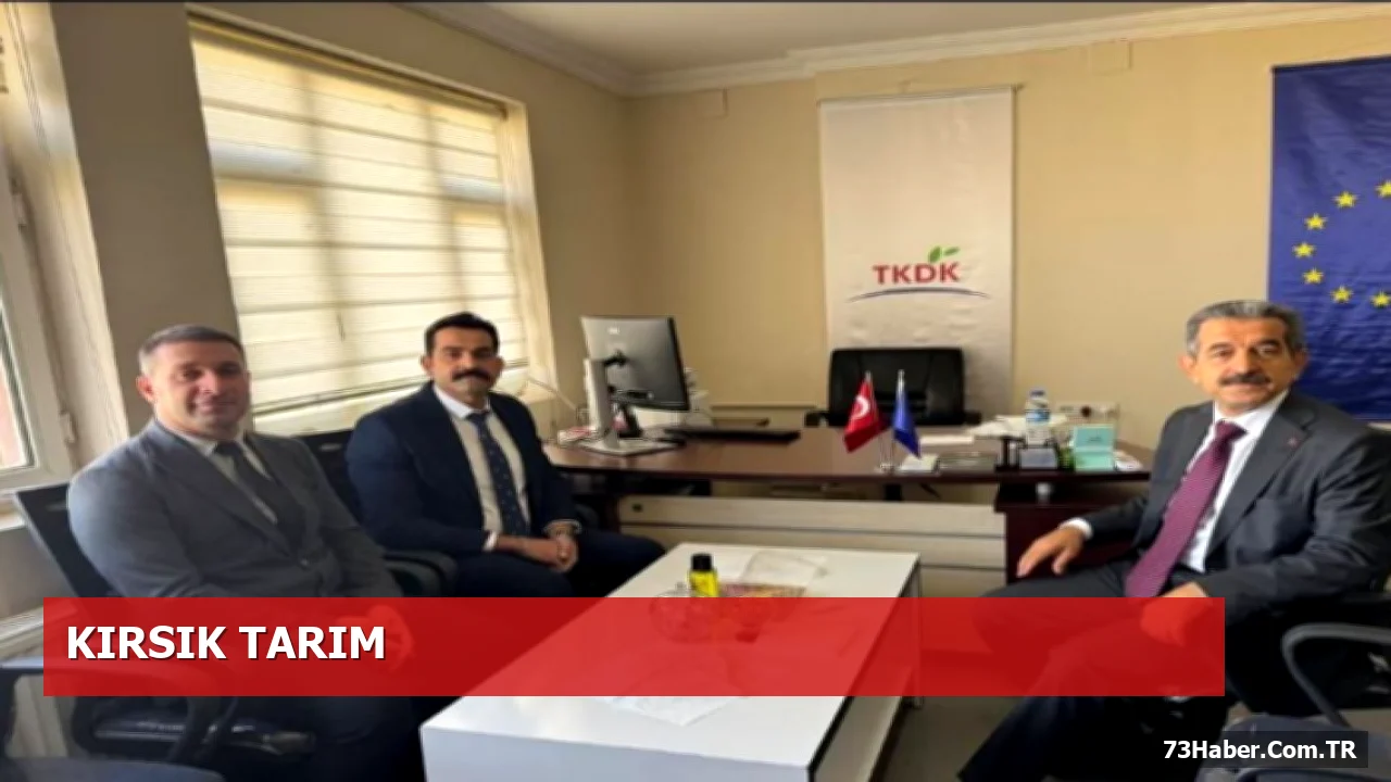 Şırnak’ta Tarım ve Kırsal Kalkınma Çalışmaları Vali Ekici’den Değerlendirildi