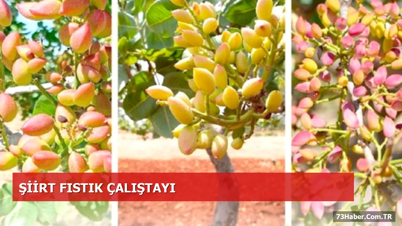 TÜBİTAK destekli Siirt Fıstığı Çalıştayı, bölge üniversiteleriyle bilimden bahçeye