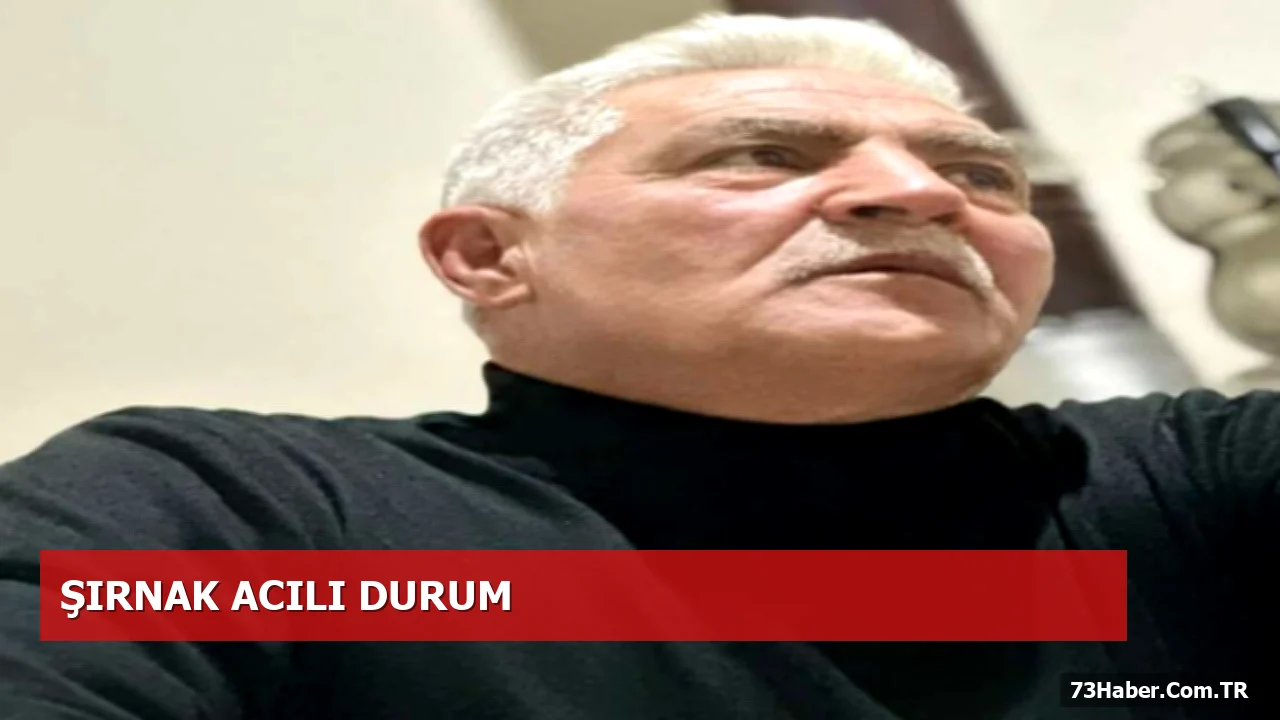 Şırnaklı Esnafın Ölüm Nedeni Arı Sokması Oldu