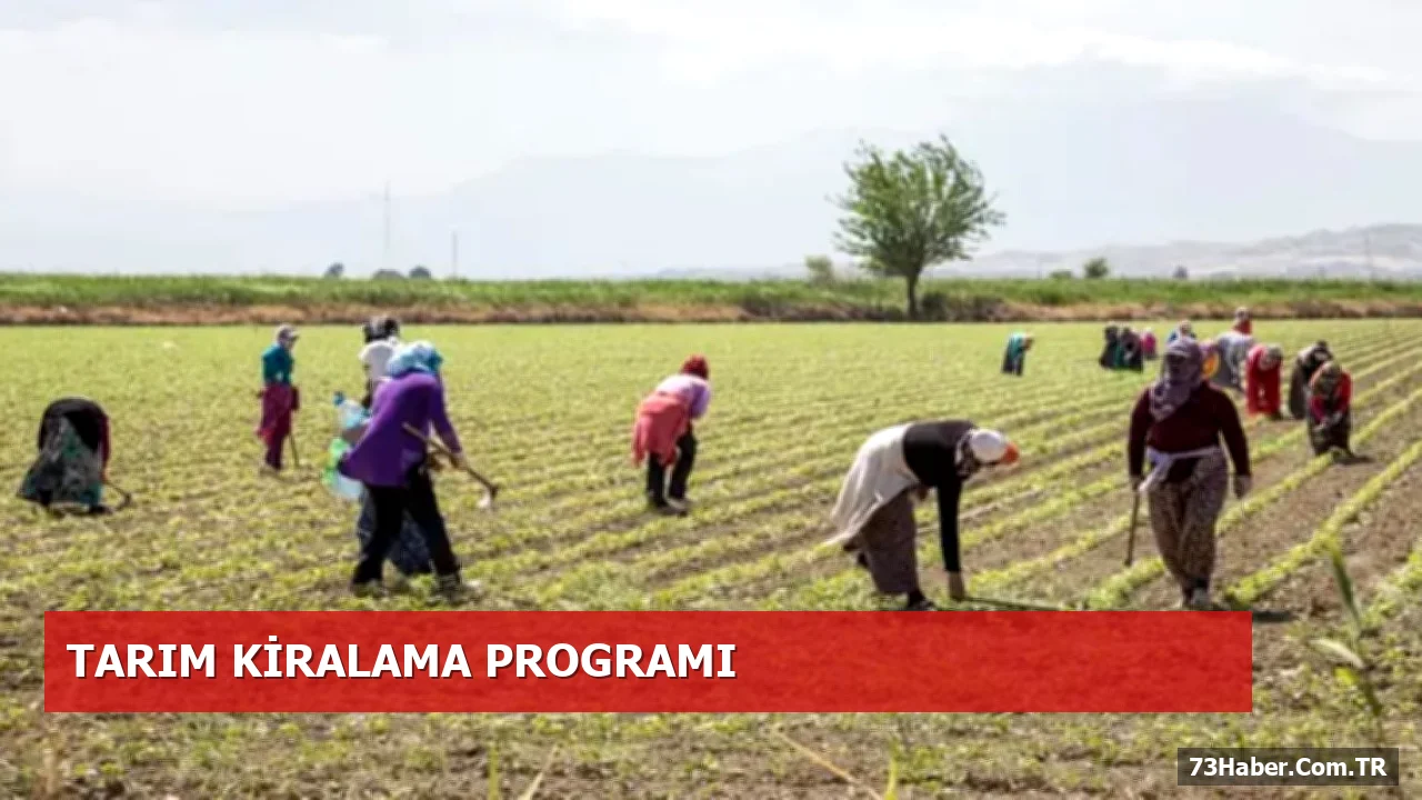 İşlenmeyen Tarlalar Sezonluk Kiraya Verilecek: Çiftçilere Yeni Fırsat