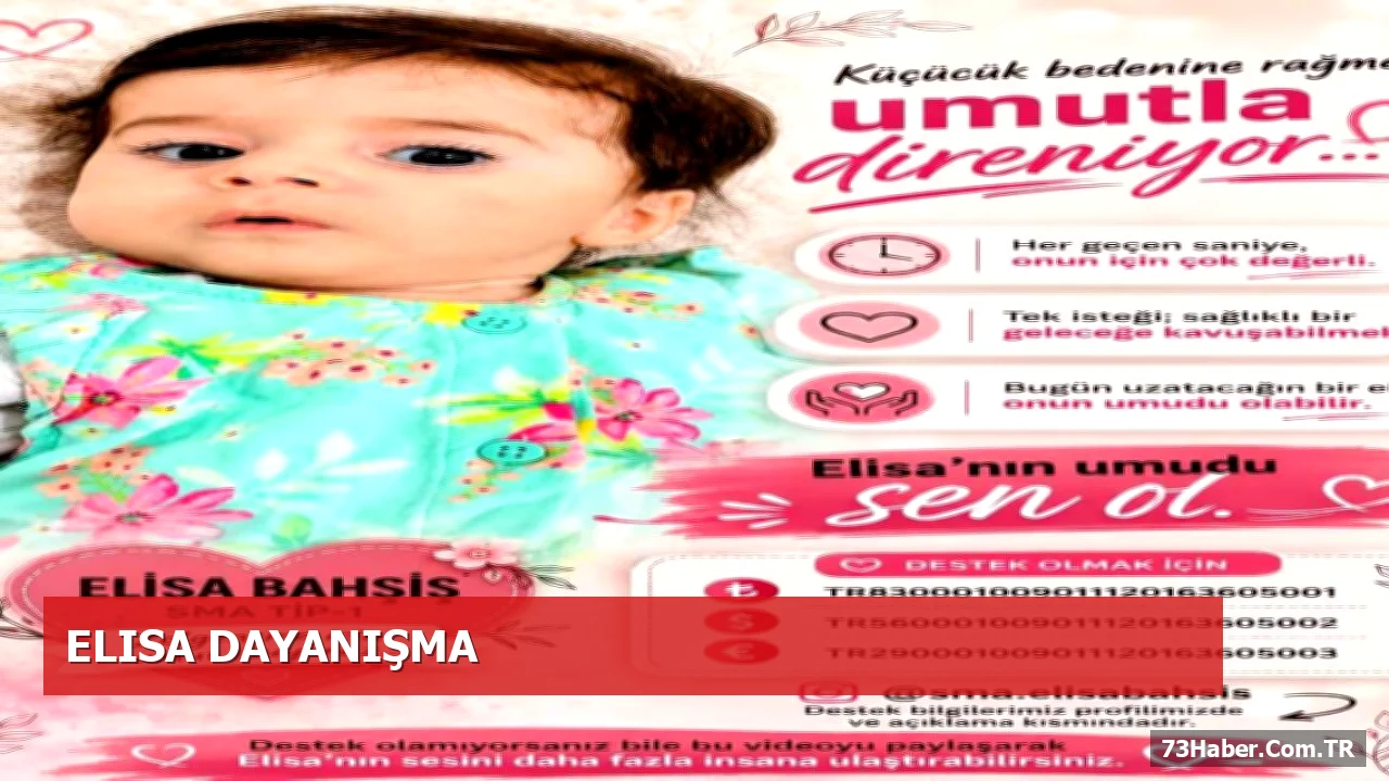 Şırnak’ta Elisa İçin Dayanışma Konseri: 17 Sanatçı Sahne Alıyor