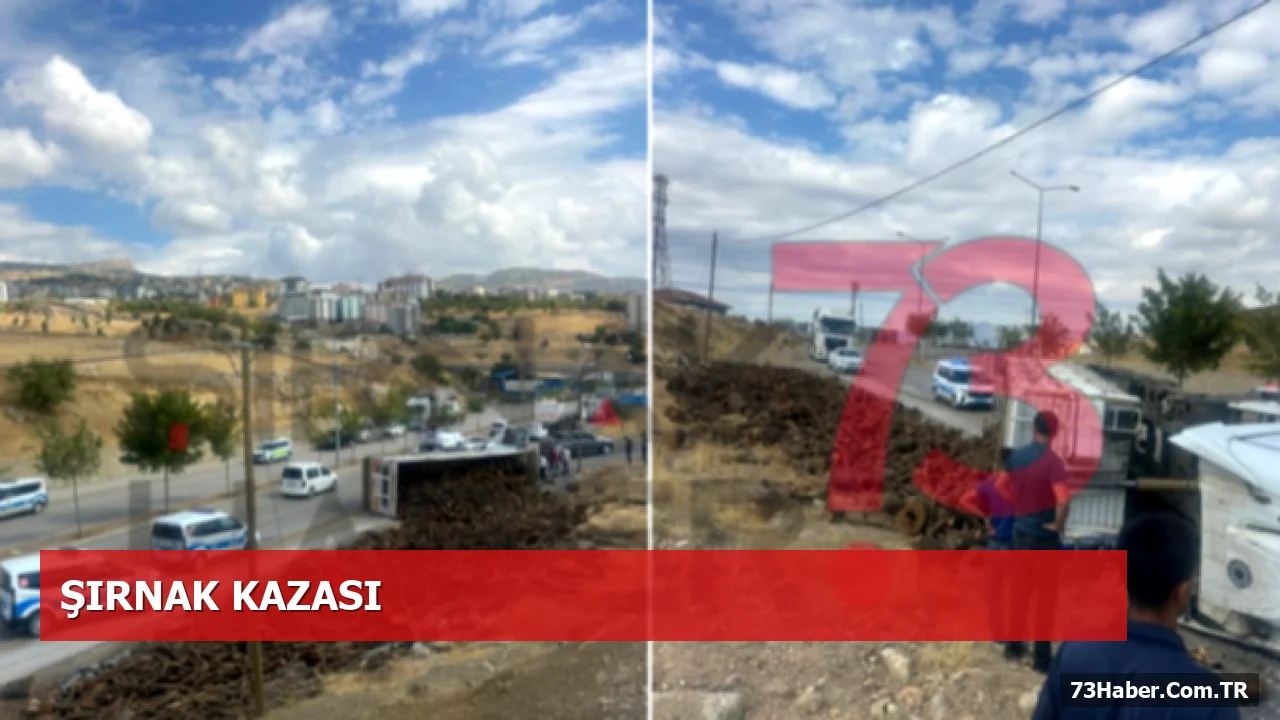 Şaranlar Kavşağı'nda Odun Taşıyan Kamyon Kontrolden Çıkarak Devrildi