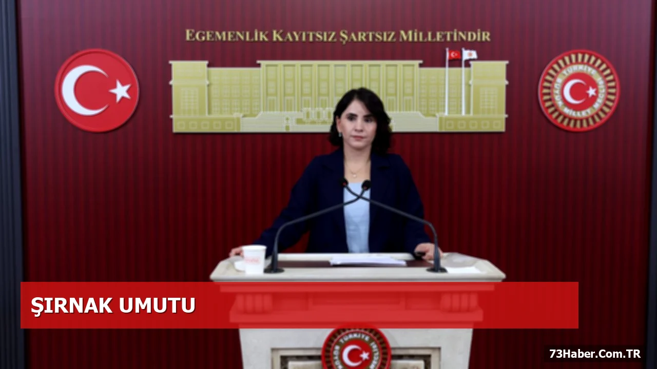 Şırnak’ta AMATEM ve ÇAMATEM Eksikliği Gündemde