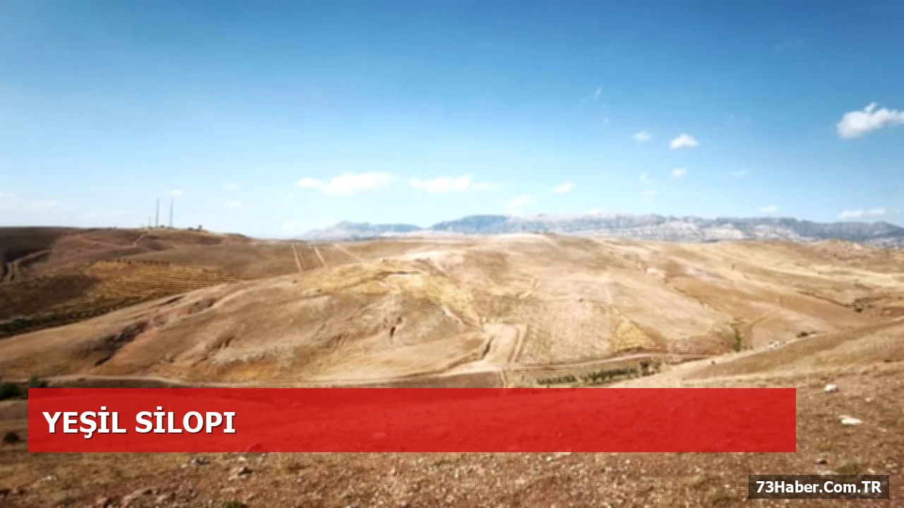 Silopi’de ‘Yeşil Silopi Projesi’ Çerçevesinde Ağaçlandırma İncelemesi Yapıldı