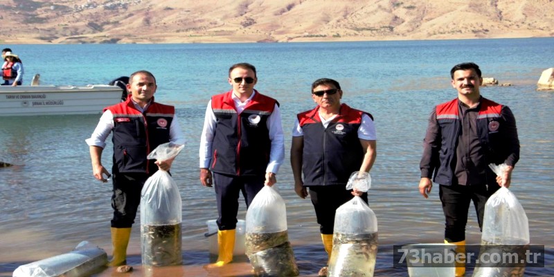 Şırnak'ta Balık Bereketi: Ilısu'ya 900 Bin Sazan