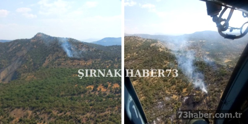 Şırnak'ta Orman Yangını Kontrol Altında