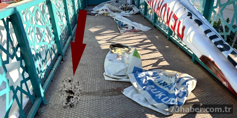 Şırnak'ın Tek Tuvaleti Rezalet Saçıyor!