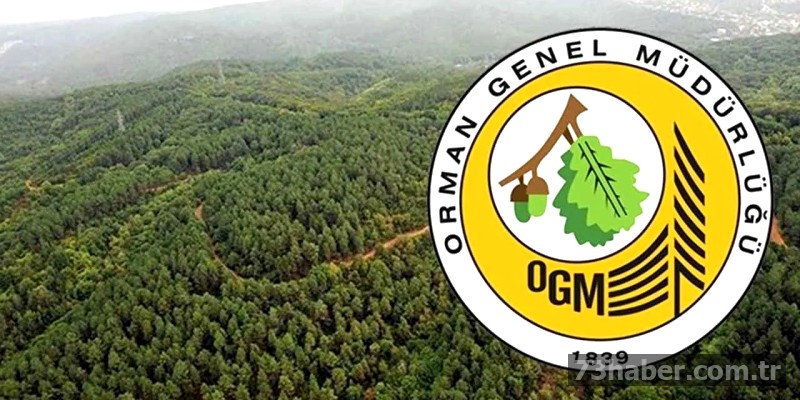 OGM’den 262 Daimi İşçi Alımı: Başvurular Resmen Başladı!