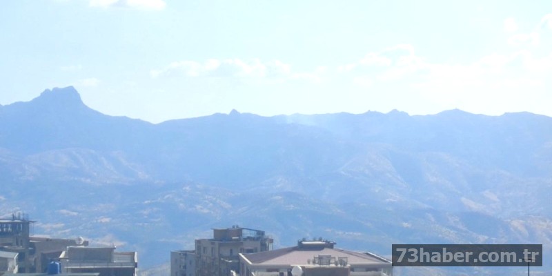 Cudi'de Orman Yangını: Hızlı Müdahale ile Kontrol Altında