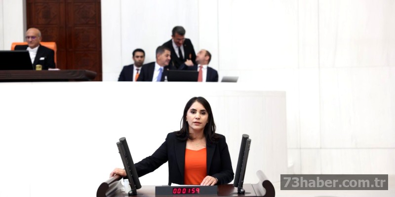 Şırnak'ın Derdi Meclis'te Yankı Buldu