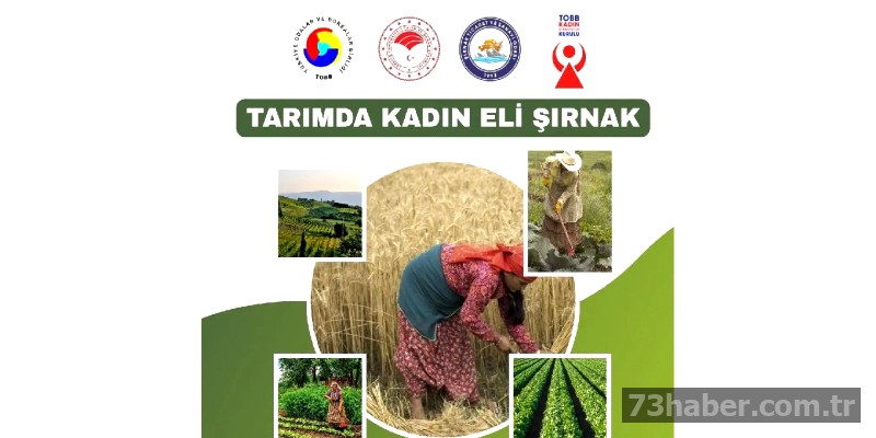 Şırnak'ta Tarımda Kadın Eli: Kadınlar Üretimde Buluşuyor