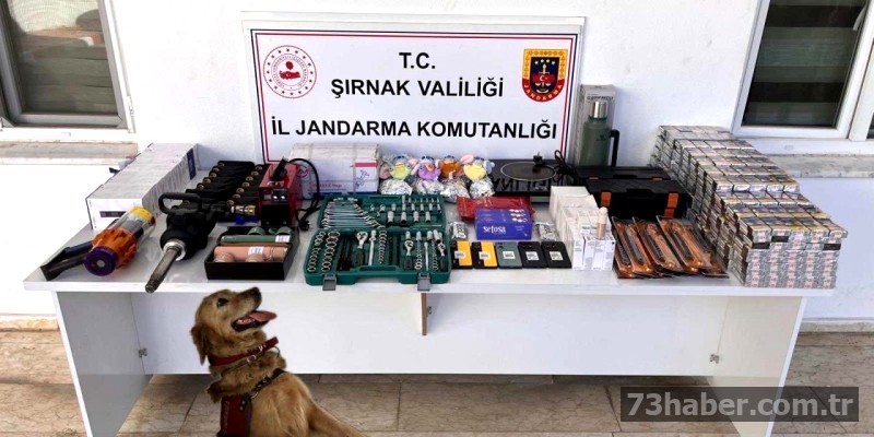 Şırnak'ta Kaçakçılık Baskını: 102 Kişi Yakalandı