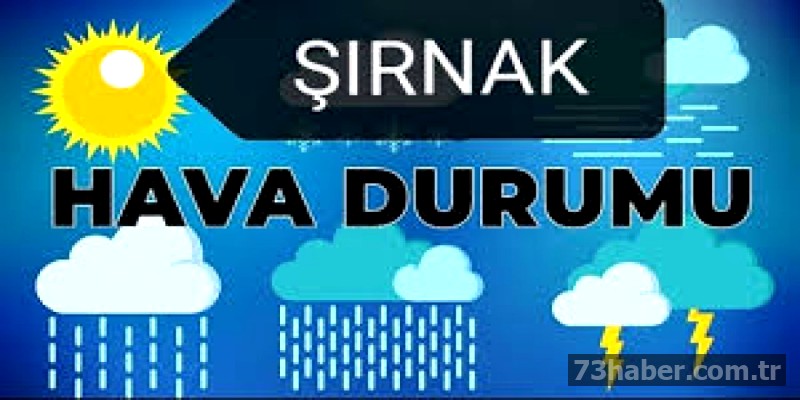 HATA: API yanıtı alınamadı