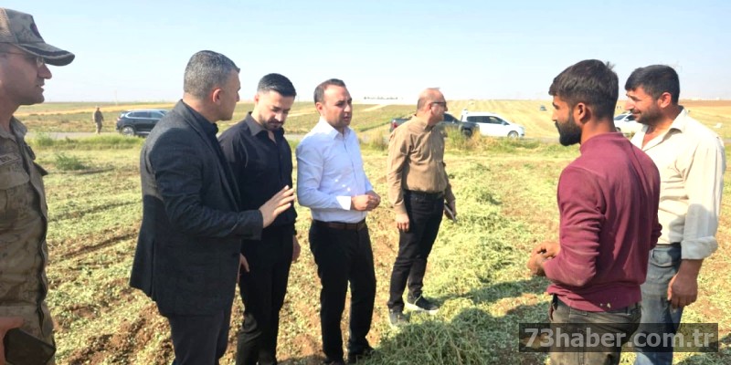 Silopi Kaymakamı'ndan Fıstık Hasadına Ziyaret