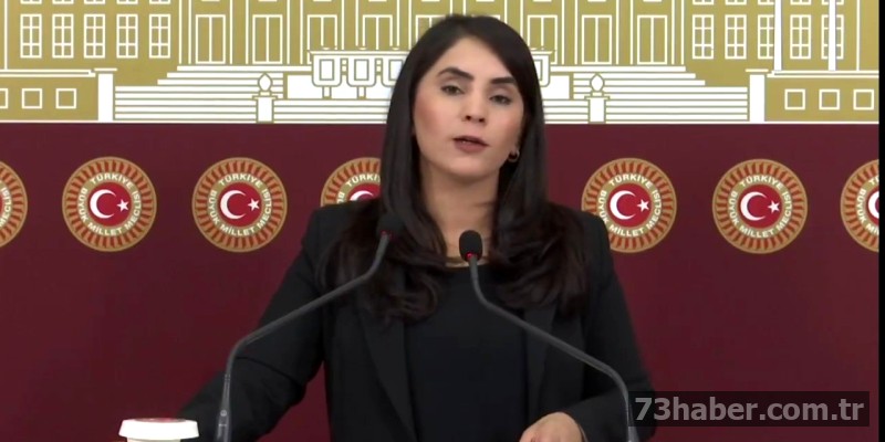 HATA: API yanıtı alınamadı