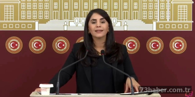 DEM Partili Aslan'dan Şırnak Köy Yolu Tepkisi: 5 Yıl Neden Sürdü?