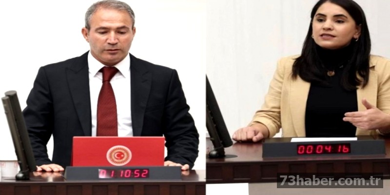 Şırnak'ta Elektrik Kesintisi: DEM'den Sert Eleştiri