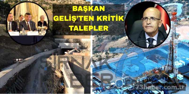 Geliş'ten Şimşek'e Destek Talebi