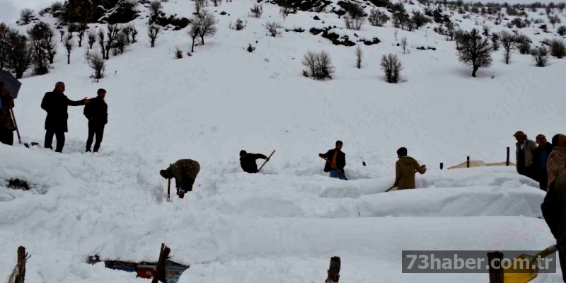 Şırnak'ta Arılar Çığ Altında
