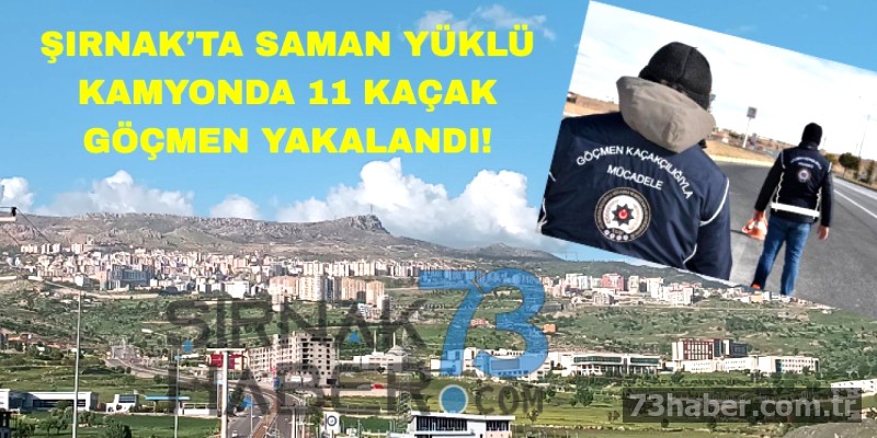 Şırnak'ta 11 kaçak göçmen yakalandı