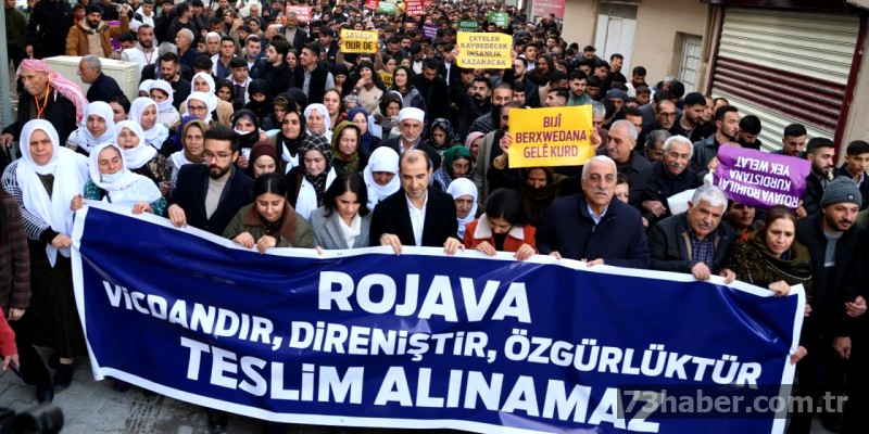 Cizre'de Halep için yürüyüş düzenlendi