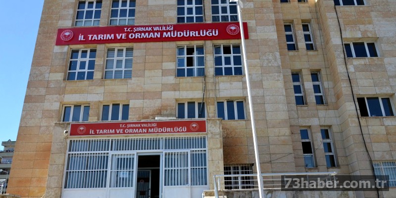 Şırnak Hayvancılık Desteklemeleri