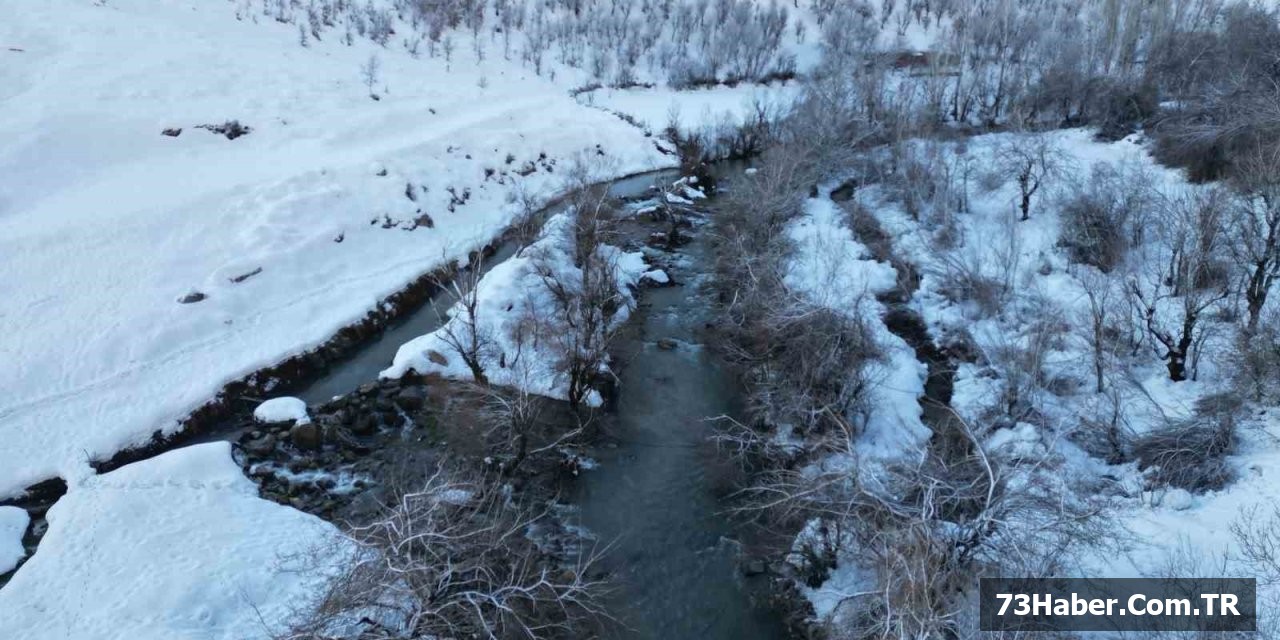 Şırnak Dereleri Dondu