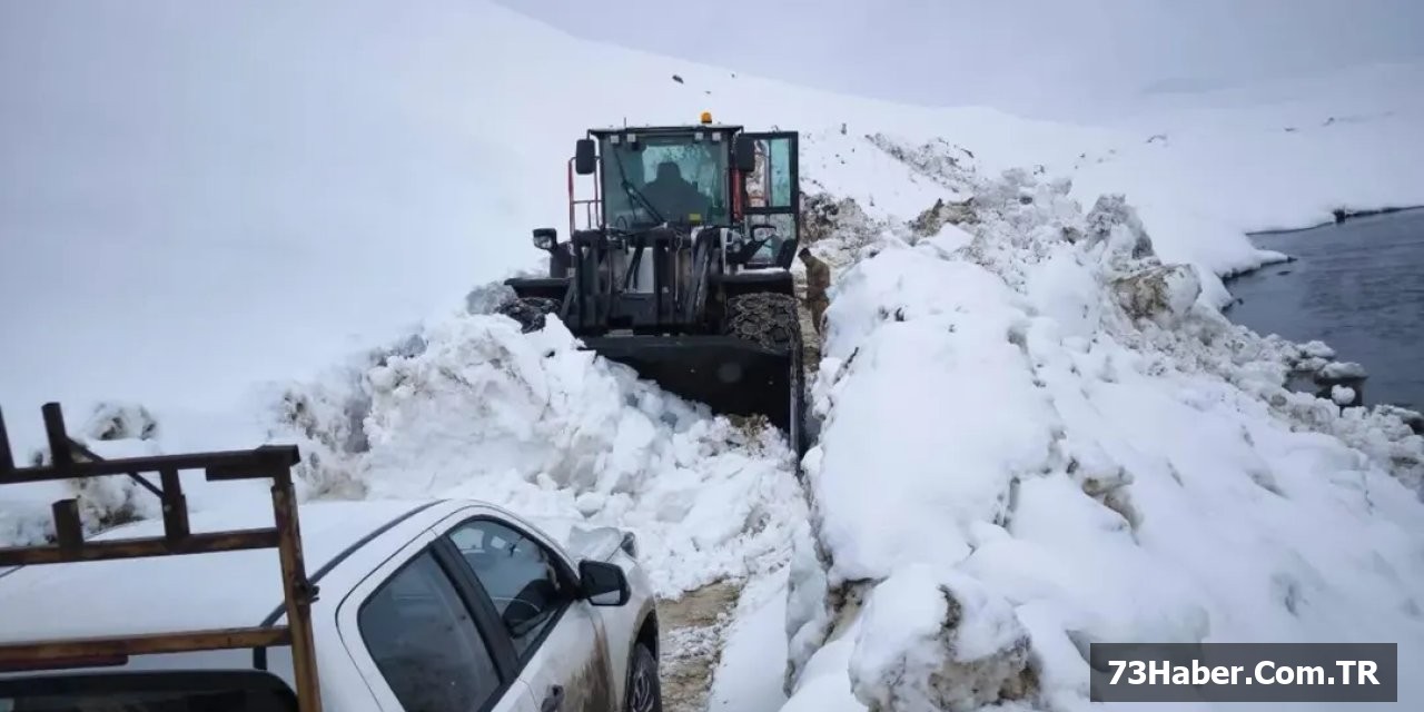 Beytüşşebap'ta Elektrik Mücadelesi