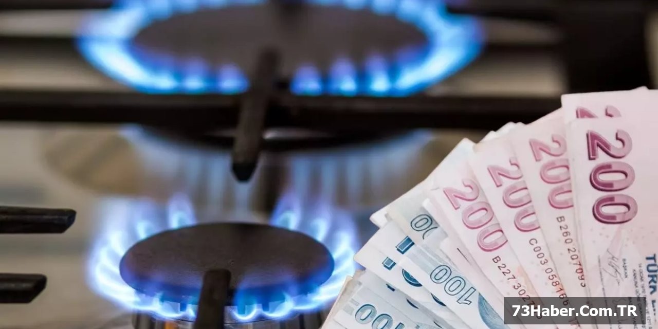 Doğal Gaz Devrimi!