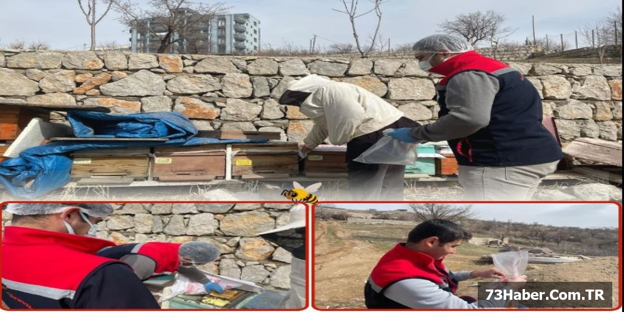 Şırnak'ta Yem Analizi Devri Başladı
