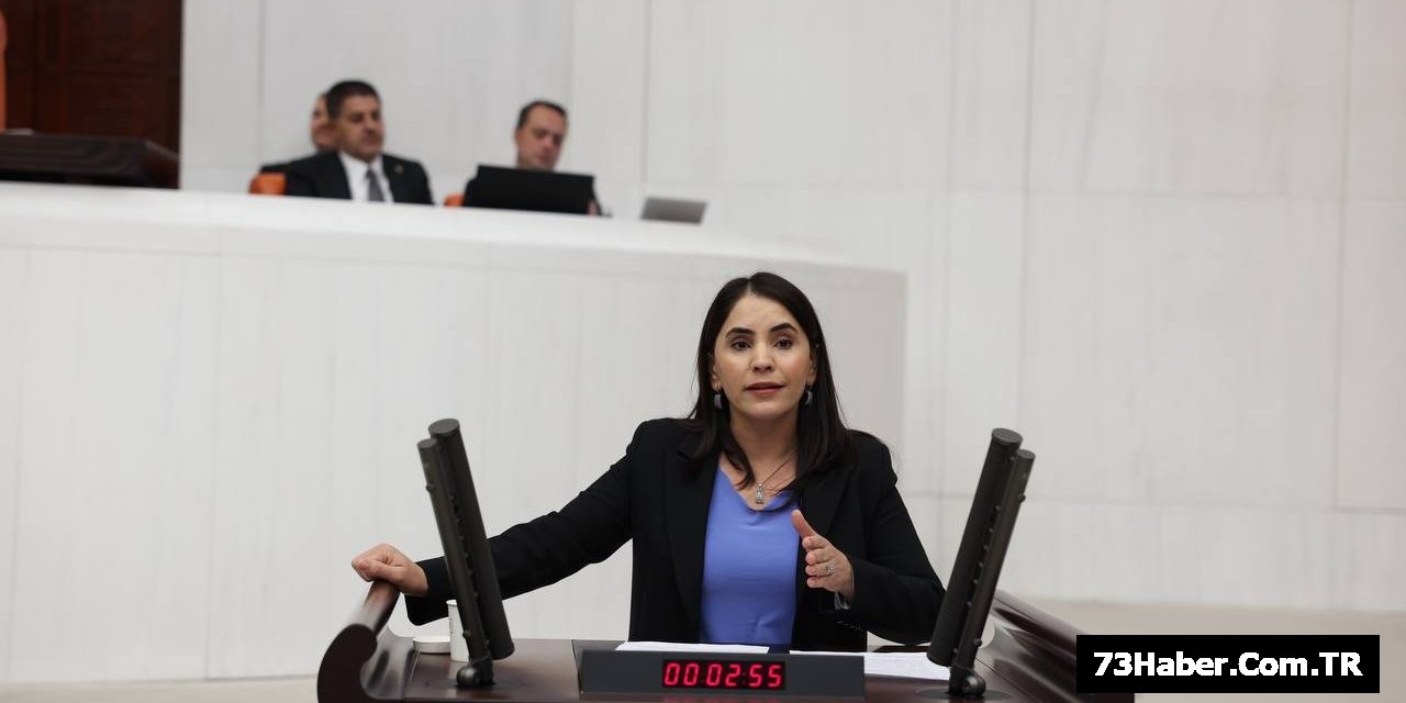 Şırnak'ta Çevre Felaketi