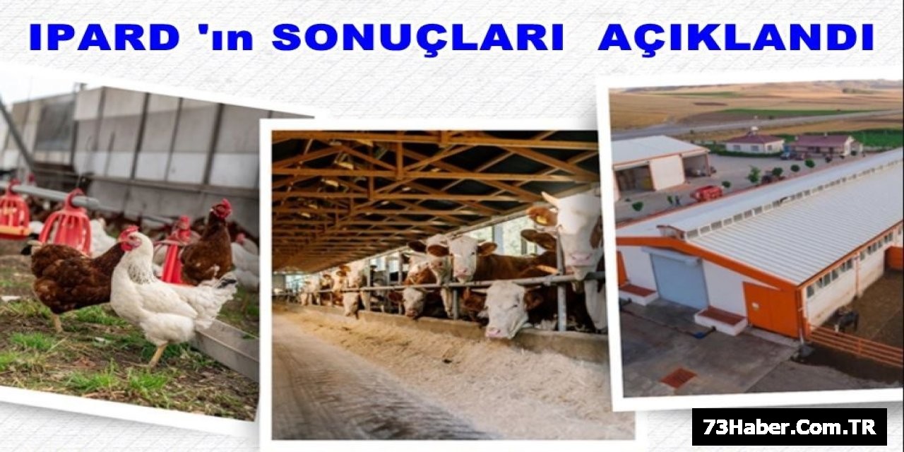 Şırnak Hayvancılığı Uçuyor!