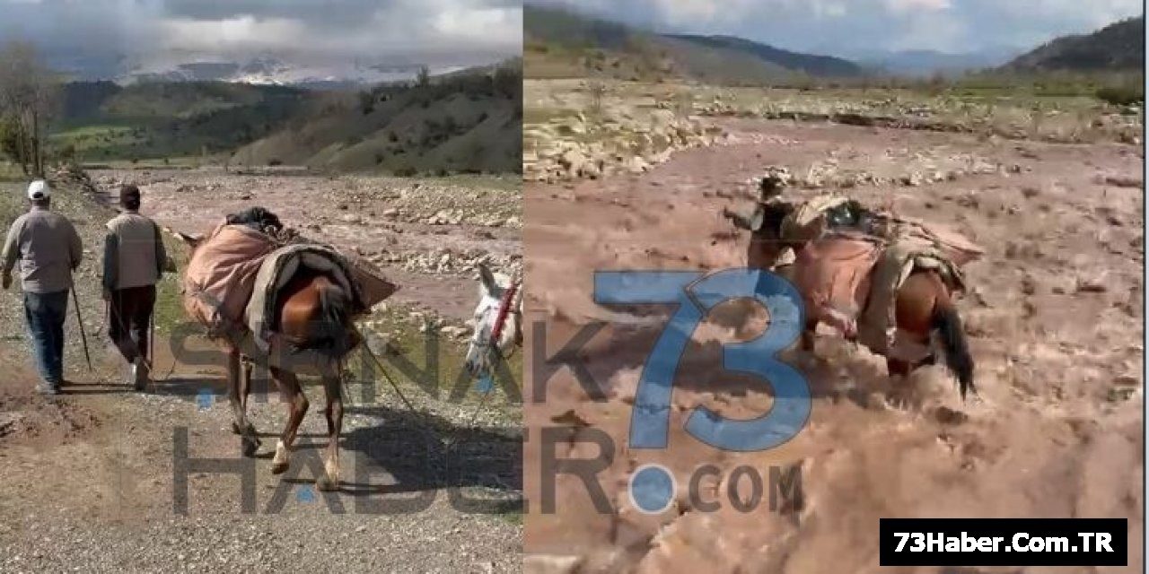 Yağışlar Yolları Kesti!
