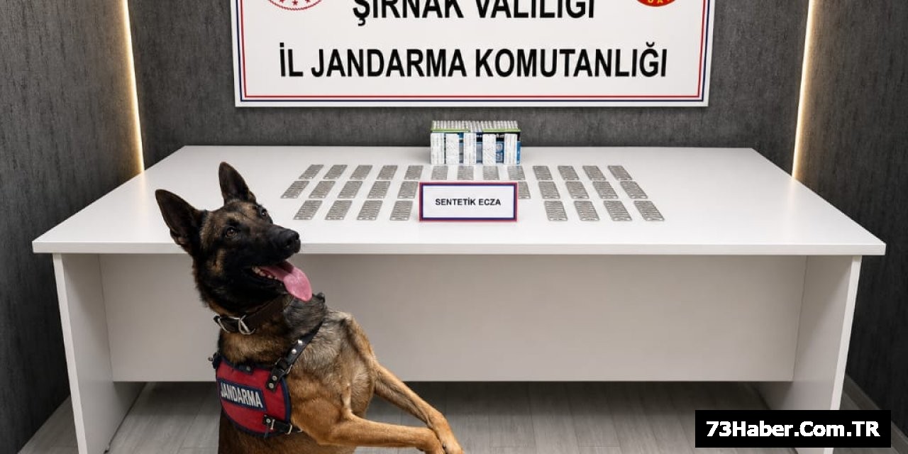 Şırnak'ta Büyük Operasyon: 145 Gözaltı