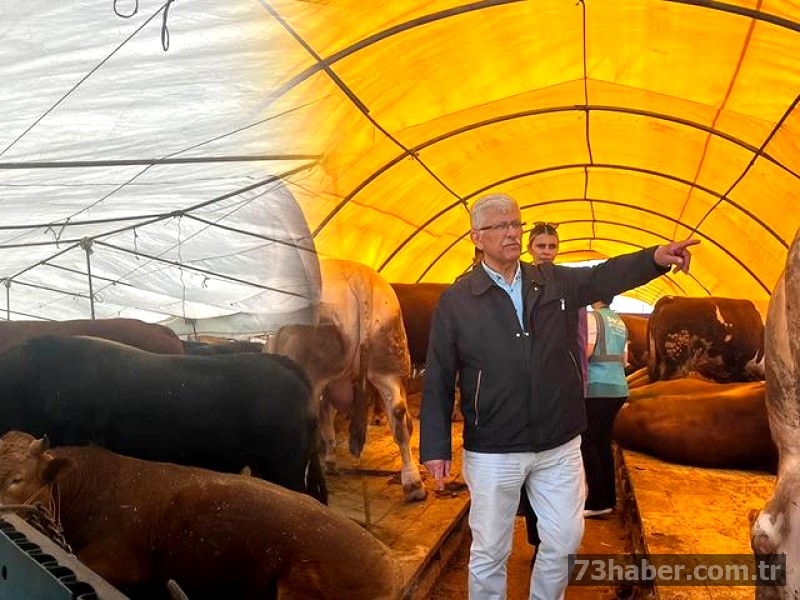 Kurbanlık Alırken Dikkat