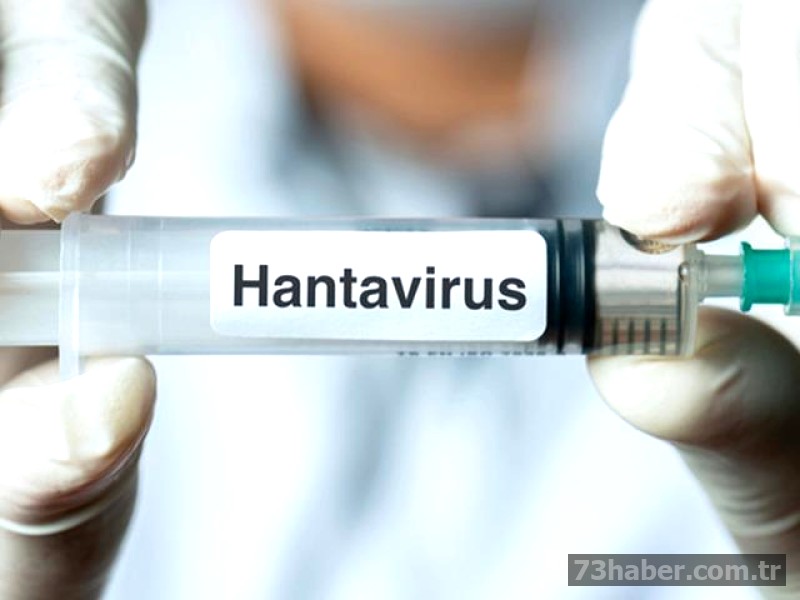 Hantavirüse karşı önlem alın